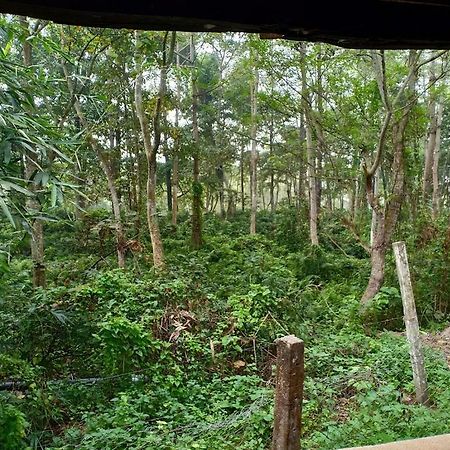 Готель Siddhartha Wildlife Retreat Meghauli Екстер'єр фото