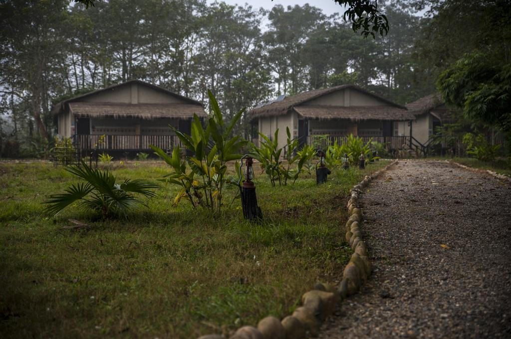 Готель Siddhartha Wildlife Retreat Meghauli Екстер'єр фото